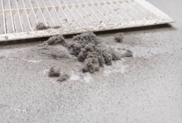 Best HVAC Duct Inspection Services  in Richnd, MO