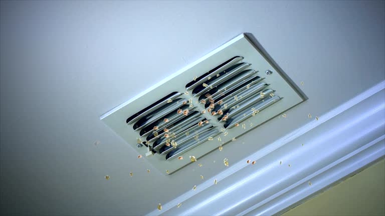 Best General Air Duct Cleaning  in Richnd, MO