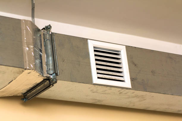 Best Professional Duct Cleaning Services  in Richnd, MO